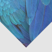 Ich bin blau - Papageienfedern nah Seidenpapier (Ausschnitt)