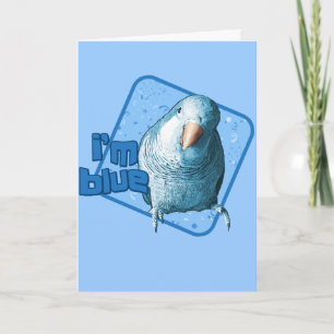 Ich bin Blue Quaker Parakeet Card Karte