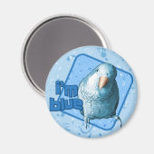 Ich bin Blue Quaker Parakeet Magnet (Vorderseite/Rückseite)