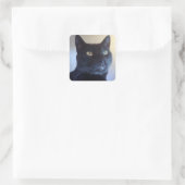 Ich bin Cat Sticker (Tasche)