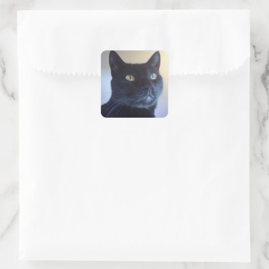Ich bin Cat Sticker (Tasche)