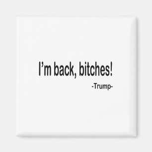 Ich bin Ck Es Funny Trump 2024 Sarcastic Sprichwor Magnet