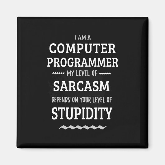 Ich bin Computerprogrammiererin Magnet (Vorne)