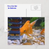 Ich bin Coy Koi Postkarte (Vorne/Hinten)