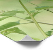 Ich bin dankbar für diesen Tag, Schmetterling Poster (Ecke)