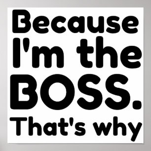 ICH BIN DAS BOSS, WARUM POSTER