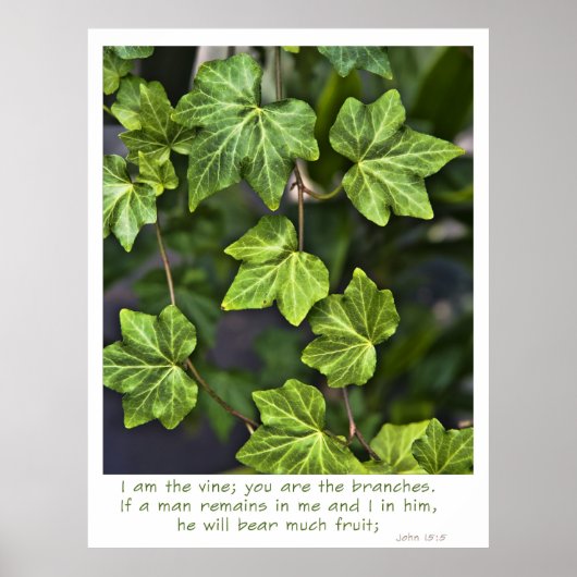 Ich bin das Weinposter John 15:5 Zitat Poster (Vorne)