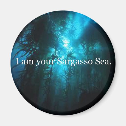 Ich bin dein Sargasso-Meer Magnet (Vorne)