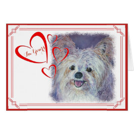 ICH BIN DEIN VALENTINE NIEDLICH WHITE YORKIE MIX