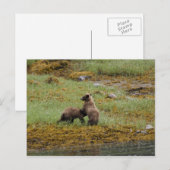 Ich bin der Boss Postkarte (Vorne/Hinten)