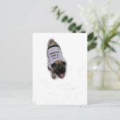 "Ich bin der Boss" Postkarte (Stehend Vorderseite)