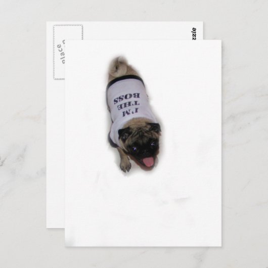 "Ich bin der Boss" Postkarte (Vorne/Hinten)