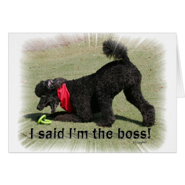 Ich bin der Chef (Vorderseite (Horizontal))