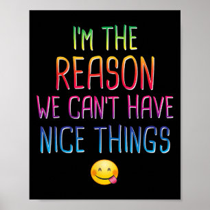 Ich bin der Grund, warum wir keine netten Dinge ha Poster