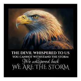 ICH BIN DER STORMPOSTER POSTER