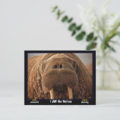 Ich bin der Walrus, ein gefährdetes Tier - Postkarte (Stehend Vorderseite)