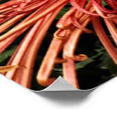 Ich bin der Weg und die Wahrheit Poster (Ecke)