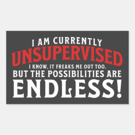 Ich bin derzeit nicht beaufsichtigt rechteckiger aufkleber