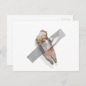 Ich bin die beste Banane! Postkarte (Vorne/Hinten)