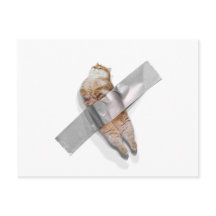 Ich bin die beste Banane!