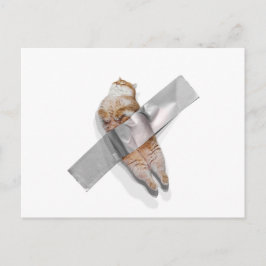 Ich bin die beste Banane! Postkarte