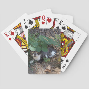 Ich bin die unsichtbare Katze Spielkarten