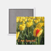 Ich bin ein besonderer Magnet! Magnet (Vorderseite/Rückseite)