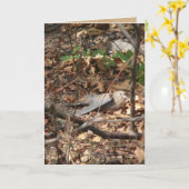 Ich bin ein Blatt, wirklich Karte (Gelbe Blume)