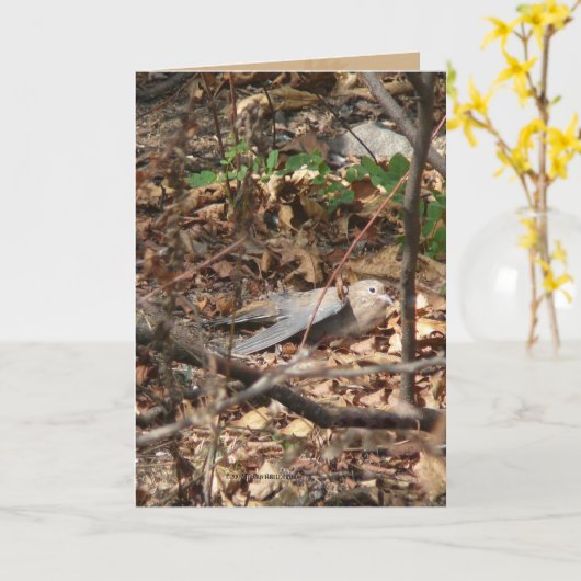 Ich bin ein Blatt, wirklich Karte (Gelbe Blume)