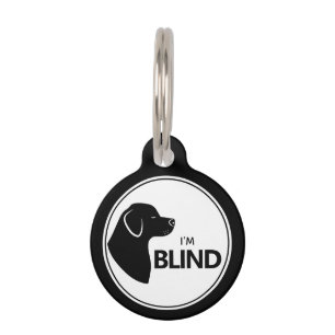 Ich bin ein blinder, stilvoller schwarzer Hund mit Haustiermarke