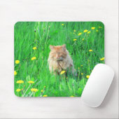 Ich bin ein Dandy-Löwe Mousepad (Mit Mouse)