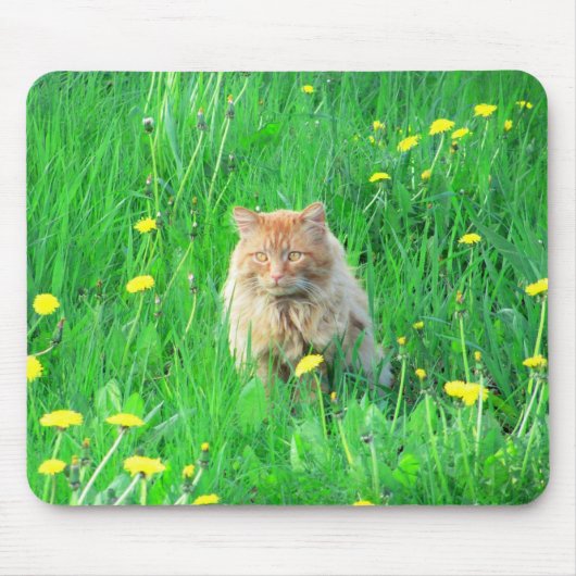 Ich bin ein Dandy-Löwe Mousepad (Vorne)