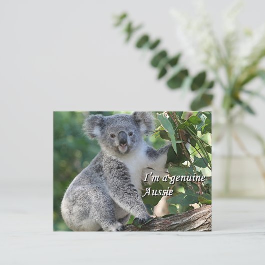 Ich bin ein echter Aussie: niedliche, kuschelige a Postkarte (Stehend Vorderseite)