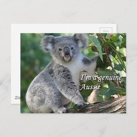 Ich bin ein echter Aussie: niedliche, kuschelige a Postkarte (Vorne/Hinten)