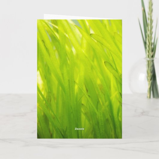 Ich bin ein Faulpelz für dich: Fisch-Grußkarte Dankeskarte (Rückseite)