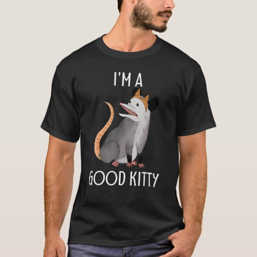 Ich bin ein guter Kitty Possum Racoon Rat Street C T-Shirt (Vorderseite)