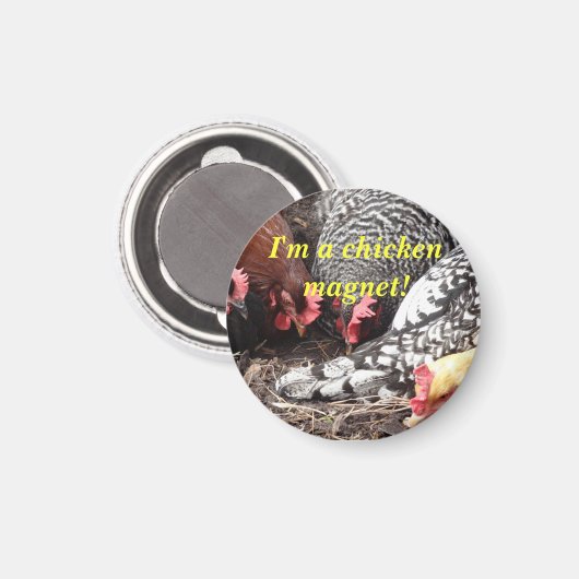 "Ich bin ein Hühnermagnet!" Magnet (Vorderseite/Rückseite)