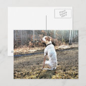 Ich bin ein Huntin' Hund Postkarte (Vorne/Hinten)