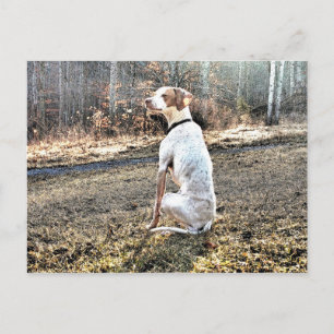Ich bin ein Huntin' Hund Postkarte