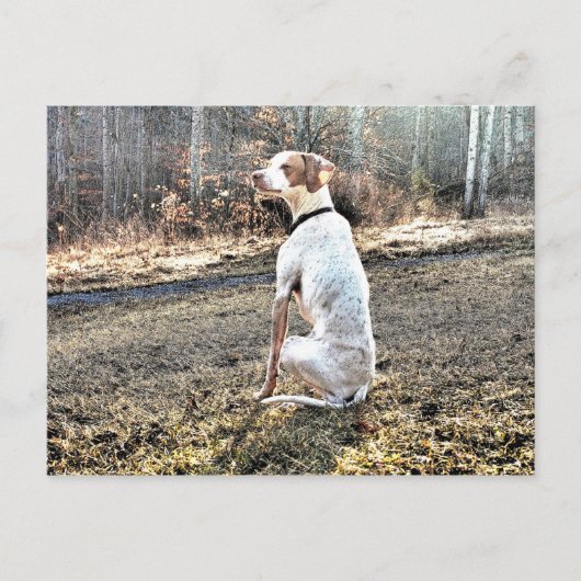Ich bin ein Huntin' Hund Postkarte (Vorderseite)