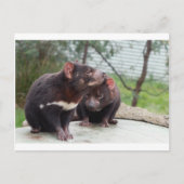 Ich bin ein kleiner Teufel Postkarte (Vorderseite)