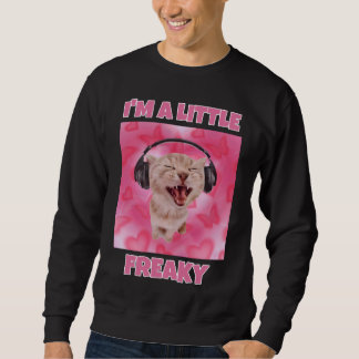 Ich bin ein kleines freaky Katzenmem Sweatshirt