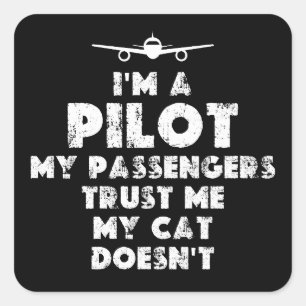 Ich bin ein Pilot Lustig Katzenliebhaber Quadratischer Aufkleber