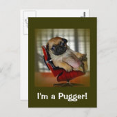 Ich bin ein Pugger! Postkarte (Vorne/Hinten)