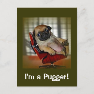 Ich bin ein Pugger! Postkarte
