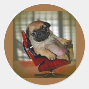 Ich bin ein Pugger! Runder Aufkleber