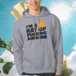 Ich bin ein Ray von verdammtem Sonnenschein Hoodie