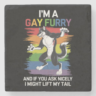 Ich bin ein schwuler Fellfuchs Regenbogen-LGBTQ-St Steinuntersetzer