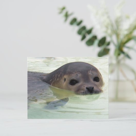 Ich bin ein Siegel Postkarte (Stehend Vorderseite)