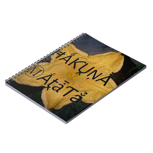 Ich bin ein Stern innen. Notizblock (Linke Seite)